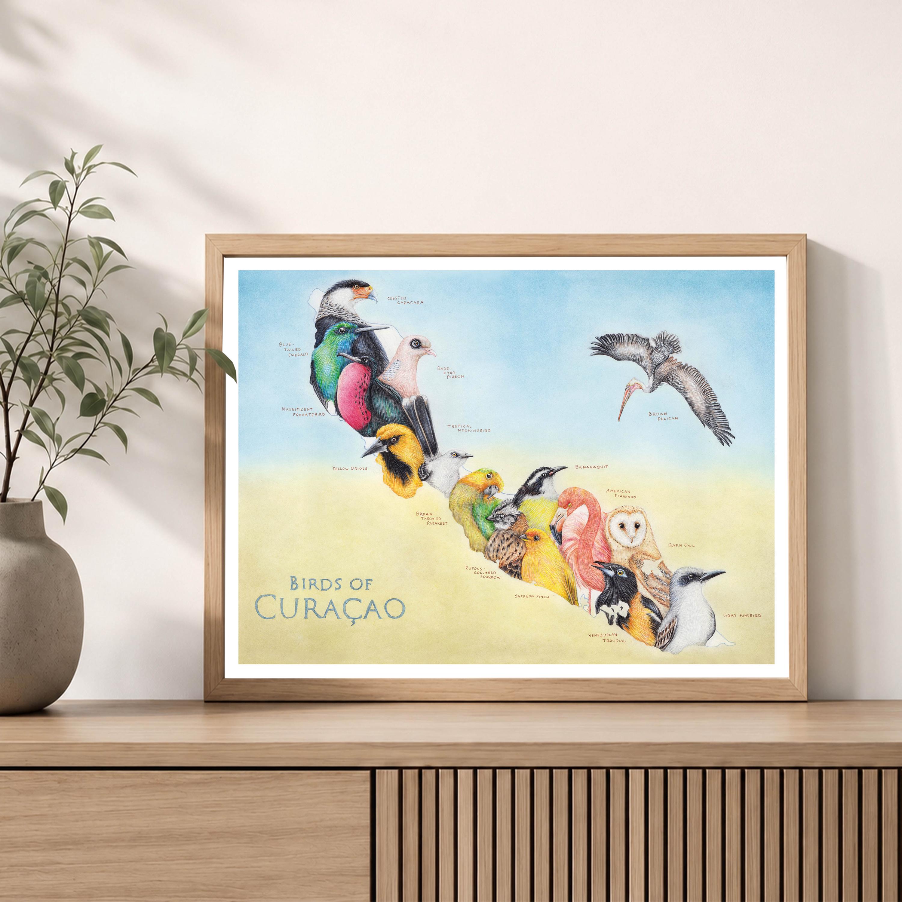 Birds of Curacao, 30 X 40 Cm, Map Art Print, Animal Map Wall