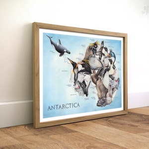Tiere der Antarktis, 30x40 cm, Karte Kunstdruck, Tiere Landkarte, Geschenk für Weltreisende, Reiseposter, Bleistiftillustration, Südpol