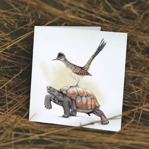 Schildpad & Renkoekoek Kaart, Verjaardagskaart, Blanco Wenskaart, Dieren Kaarten, Grappige Kaart, Zomaar Kaart, Geslaagd voor Rijbewijs