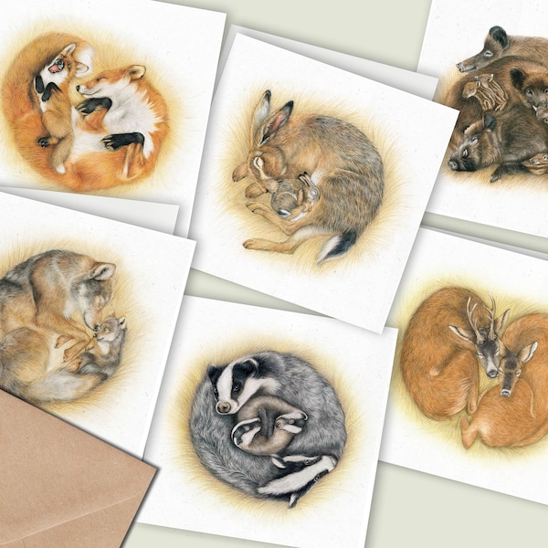 6x Cartes de vœux pour animaux, Ensemble de 6 cartes, Cartes vierges écologiques, Cartes d’anniversaire d’animaux de la forêt, Cartes recyclées, Annonces de naissance