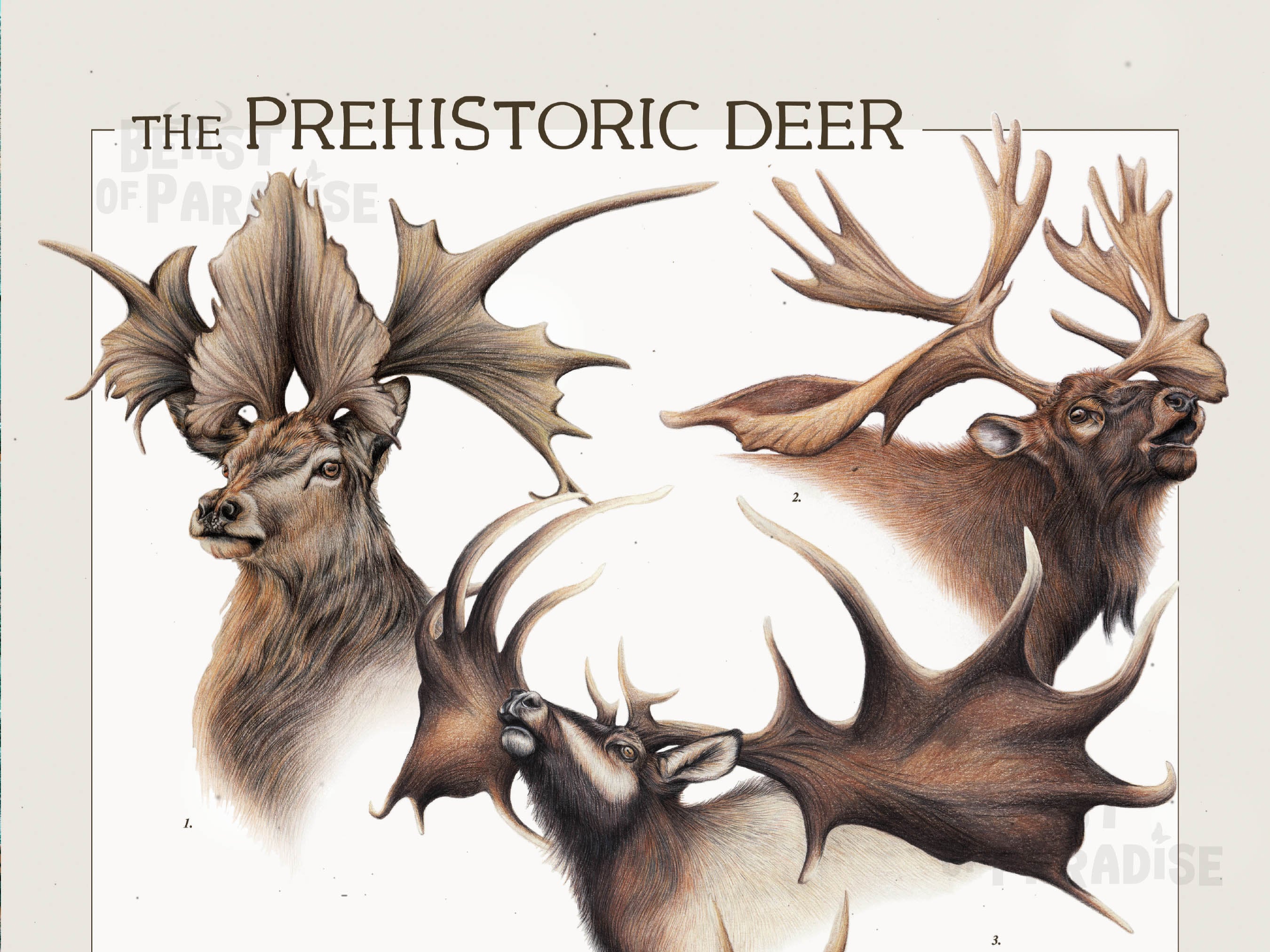 Prehistoric deer 2024
