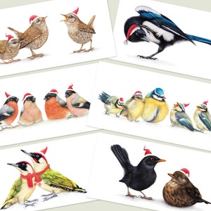 6x Weihnachtskarten, 6er-Set, Weihnachtsvogelkarten, Tiergrußkarten, Wintergeburtstagskarten, Bleistiftillustration, süße Weihnachtskarte