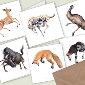 Leuke Dieren Kaarten, Set van 6, Handgemaakte Blanco Wenskaarten, Verjaardagskaarten, Wildlife Art Print, Potlood Illustratie, Inlijsten