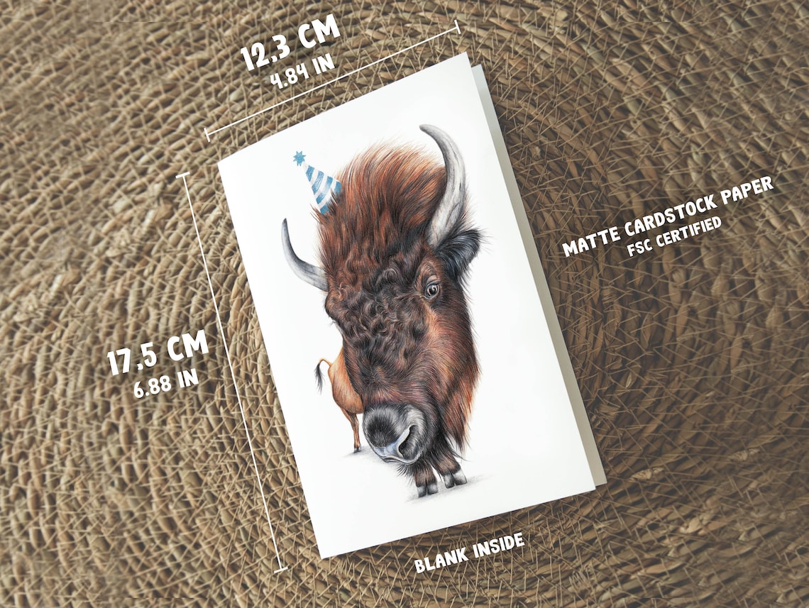 Bison Card, Birthday Card, Greeting Card, Whimsical Cards, Blank Cards ...
