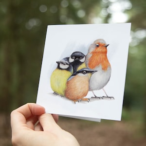 Vogels Kaart, Verjaardagskaart, Blanco Wenskaart, Dieren Kaarten, Grappige Kaart, Zomaar Kaart, Roodborst, Koolmees, Pimpelmees, Boomklever