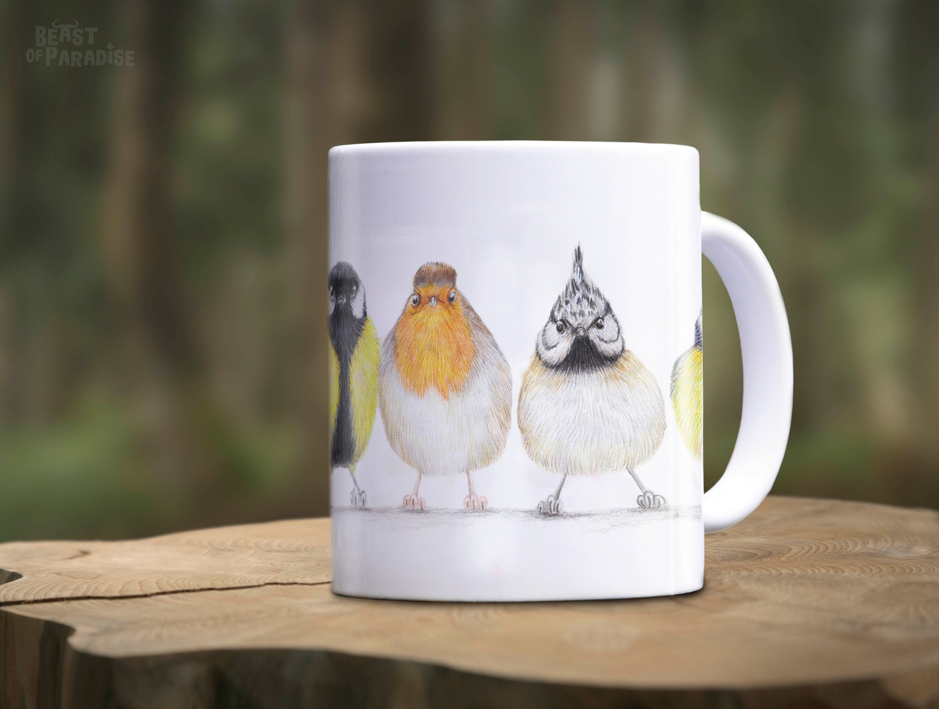 Birdee Ceramic Coffee Mugs - Set of 2 Cute Bird Designs Coffee Cup