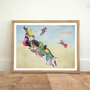 Vögel von Aruba, 40x30 cm, Karte Kunstdruck, Tiere Landkarte, Geschenk für Weltreisende, Reiseposter, Bleistiftillustration, Tierkarte