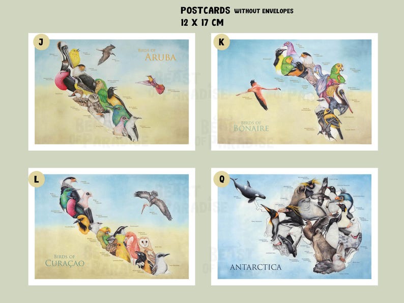 Cartes de vœux, cartes de Noël, cartes d'animaux, cartes humoristiques, cartes d'oiseaux, cartes d'anniversaire d'animaux, soldes, cartes postales image 9