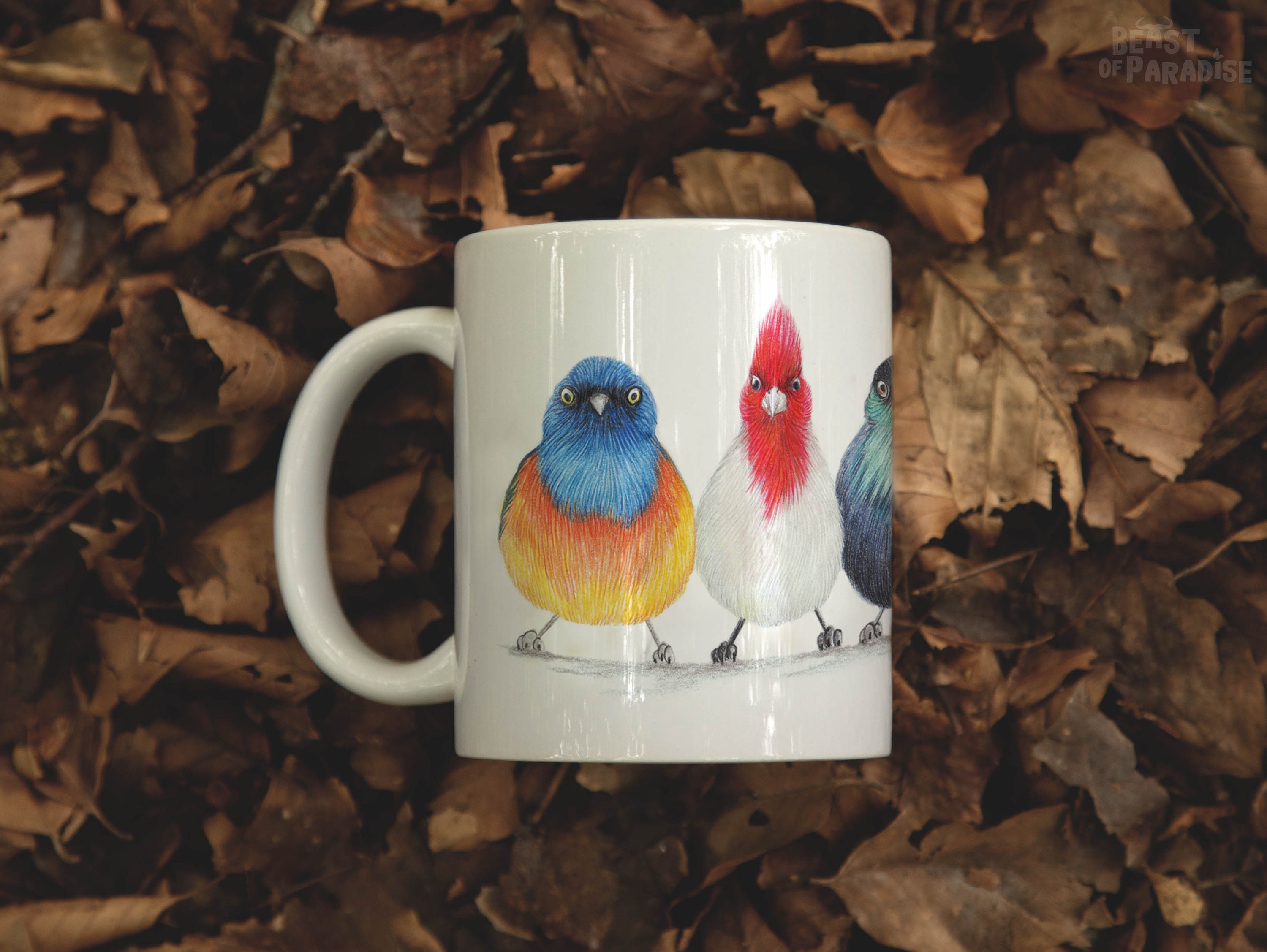 Regalos De Observación De Aves, Vaso De Pájaros De 40 Onzas