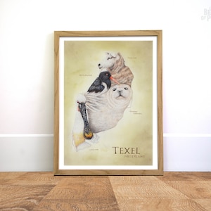 Tiere von Texel, 30x20 cm, Karte Kunstdruck, Tierkarte, Geschenk für Mutter, Reiseposter, Bleistiftillustration, Watteninsel