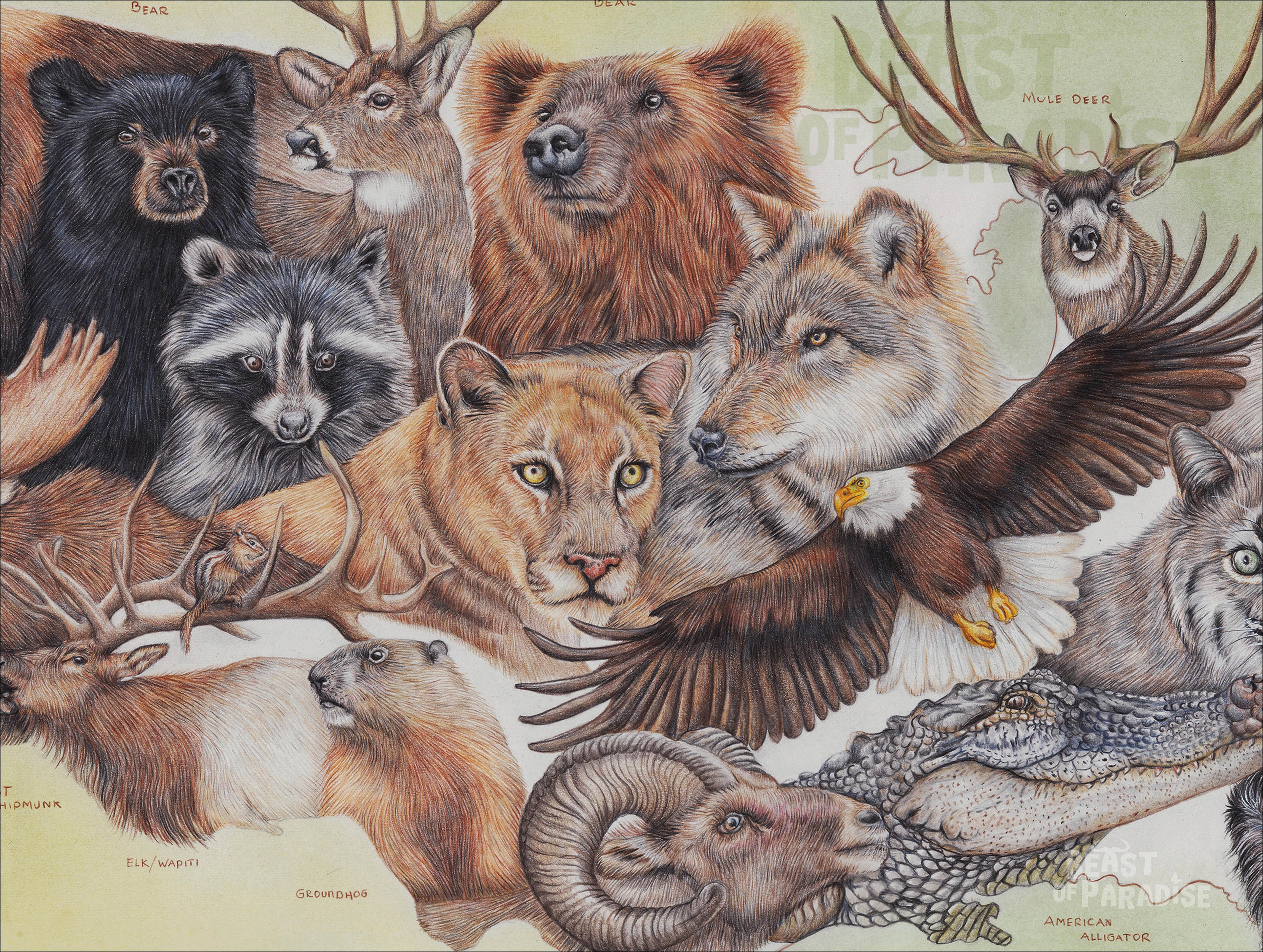 Wildlife of the United States of America 30 X 40cm Map Art - Etsy Denmark