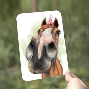 Postcard with Horse, Postcards with Animals, Birthday Cards, Greeting Cards Animals, Funny Cards, Equus Cards, Birthday Wishes