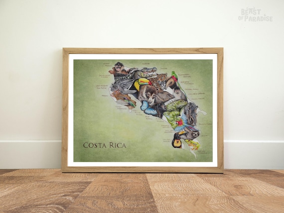 Wildlife of Costa Rica, 30 X 40 Cm, Map Art Print, Animal Map Wall