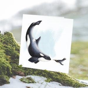 Orka en Pinguïn Kaart, Verjaardagskaart, Blanco Wenskaart, Dieren Kaarten, Grappige Kaarten, Feest Kaart, Zomaar Kaart, Vriendschapskaart