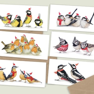 6x Tarjetas de Navidad, Conjunto de 6, Tarjetas de Pájaros de Navidad, Tarjetas de Felicitación de Animales, Tarjetas de Cumpleaños de Invierno, Ilustración a Lápiz, Linda Tarjeta de Navidad