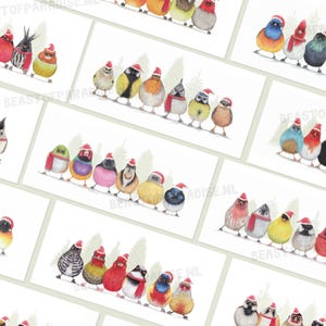 12 Weihnachtskarten mit Vögeln, 12er-Set, handgemachte Tiergrußkarten, Wintergeburtstagskarte, Bleistiftillustration, Geschenk
