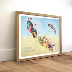 Vögel von Curaçao, 30x40 cm, Karte Kunstdruck, Tiere Landkarte, Geschenk für Weltreisende, Reiseposter, Bleistiftillustration, Wanddekoration