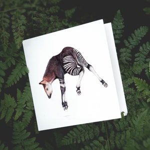 Carte Okapi, carte d'anniversaire, carte de vœux vierge, cartes animaux, cartes humoristiques, carte de fête, carte de vœux, carte de naissance, cadeaux Okapi