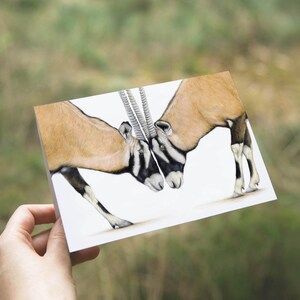Gemsbok Greeting Card, Oryx Cards, Birthday Cards, Animal Cards, Just Because Card, Valentine's Card, African Wildlife Card, Oryx Gifts