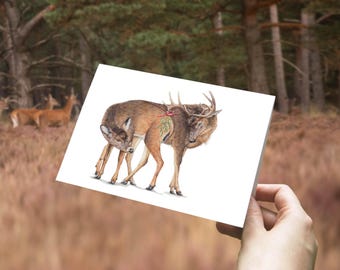 Puede incluir: Una tarjeta de felicitación con una ilustración en acuarela de dos ciervos, uno con cuernos, adornada con muérdago. La tarjeta se sostiene frente a un fondo borroso de bosque, lo que sugiere un tema de naturaleza o vida silvestre. Los ciervos están representados en tonos marrones y beige.