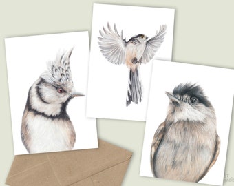 3x Cute Bird Cards, Set of 3, Greeting Cards Handmade, Card Set Blank, Birthday Gifts, Wildlife Art Print, Pencil Illustration, UK Animals