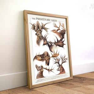 Cartel de ciervos prehistóricos, carteles A3, ilustración científica, regalo para un amigo, decoración de pared de animales, impresión vintage, edad de hielo