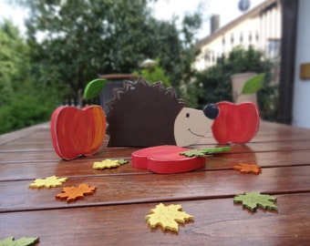 Cute little hedgehog