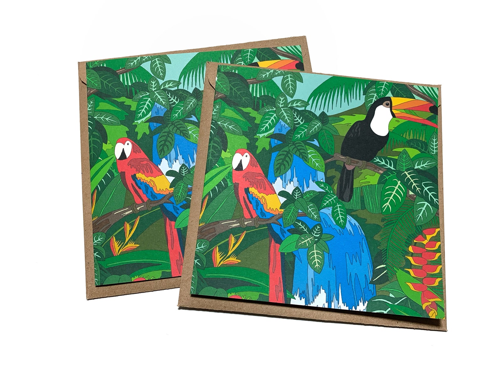 Rainforest Greeting Cards Pack Recycled Card | Etsy