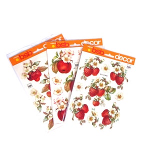 Décalcomanies bsb des années 70 Décalcomanie de sélection « Fruit Blossom »