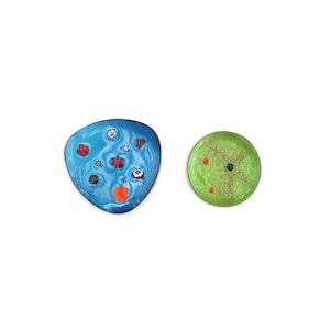 Può includere: Due piatti in metallo smaltato. Il piatto più grande ha una forma blu irregolare con accenti circolari rossi, arancioni e bianchi. Il piatto più piccolo è un pezzo circolare verde lime con un centro marrone e piccoli punti neri e arancioni.