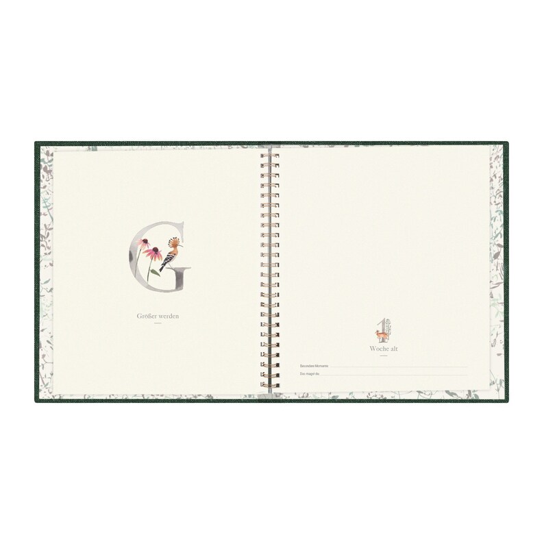 Milestone™ ABC Baby Album my First Year Etsy