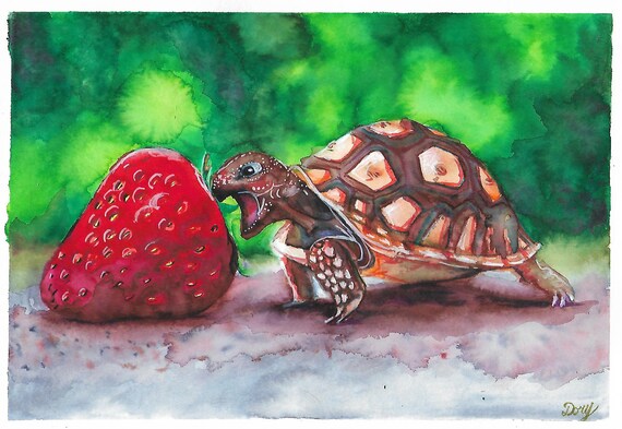 Tortue Faim Avec Fraise Aquarelle Originale Etsy