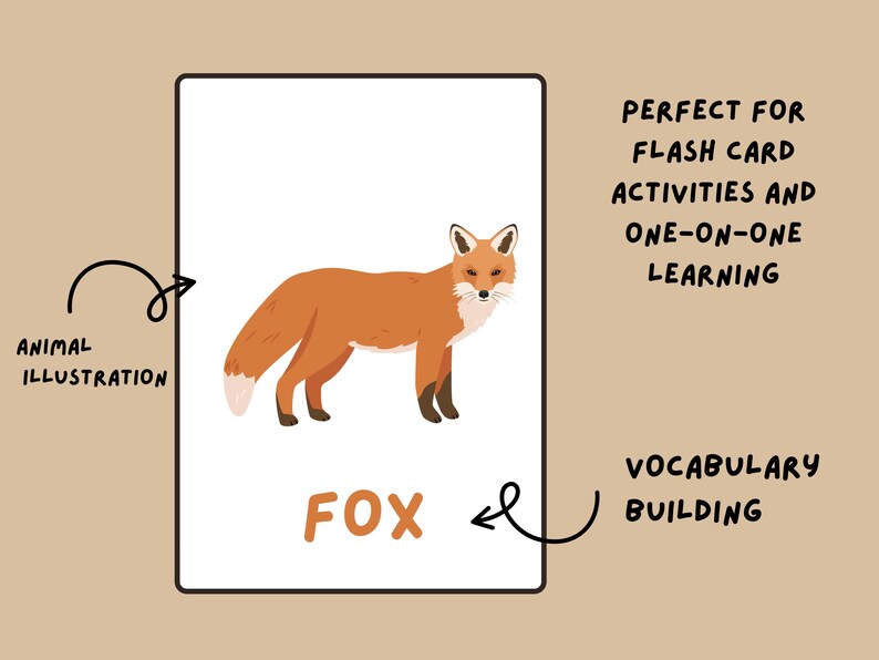 Woodland Animals Flash Cards: Forest Nature Learning Poster (PDF ...