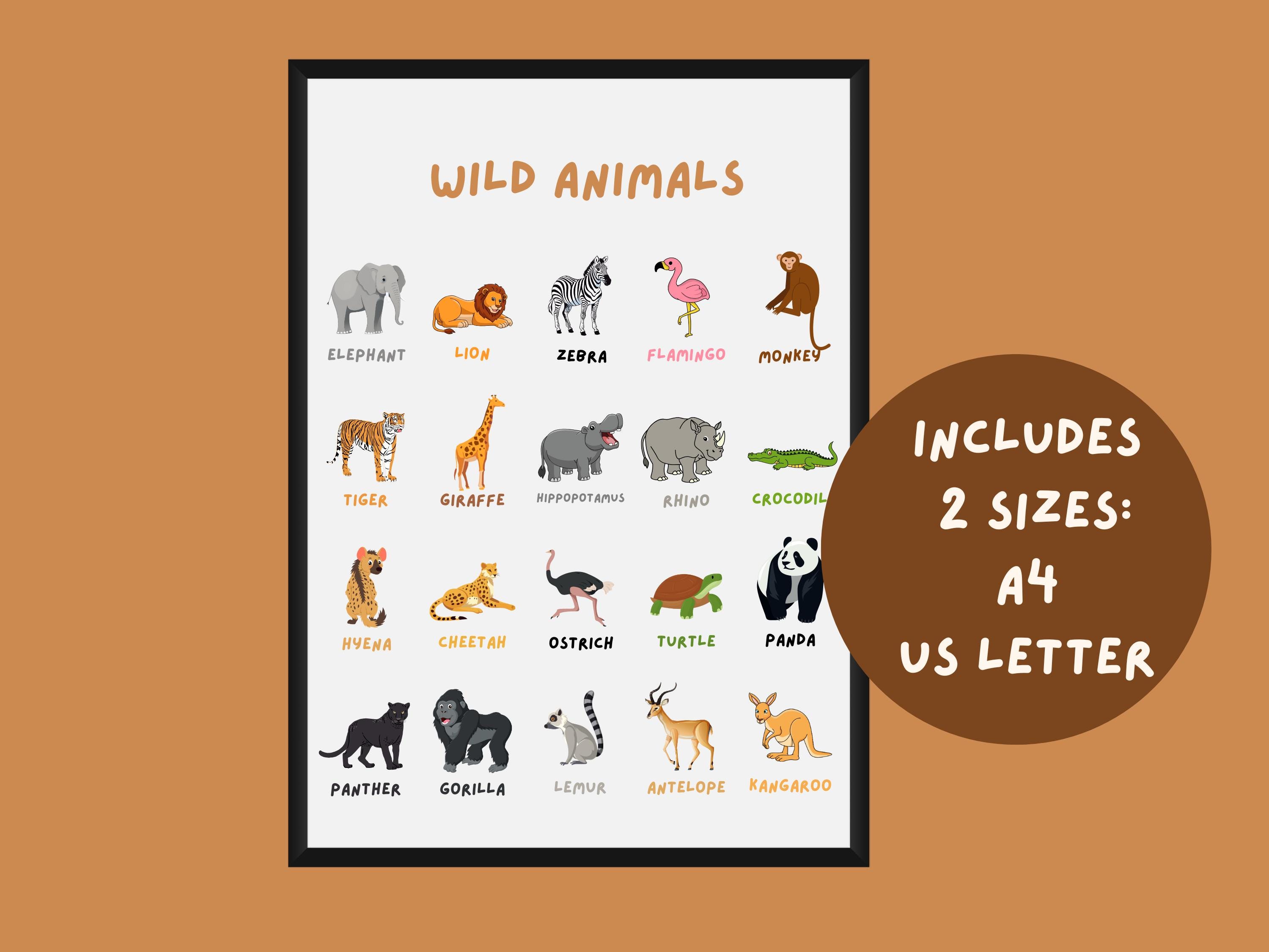Educational Animal Posters: Farm, Woodland, Sea, Bugs (printable ...
