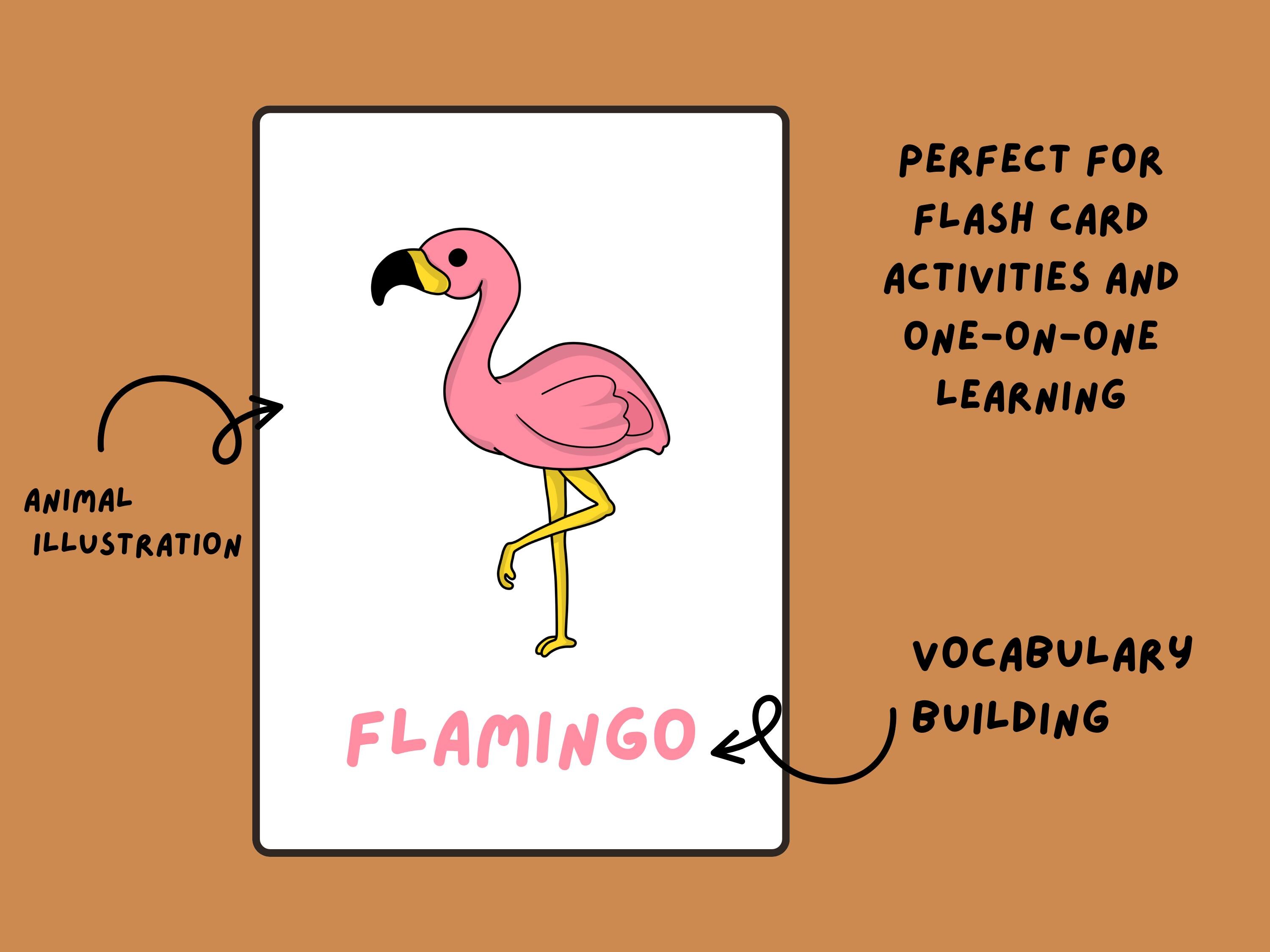 Wildcat Flash Card.pdf Wild Animals Flash Cards: Preschool Learning Poster (printable PDF ...
