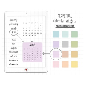 Eeuwigdurende minikalender digitale plannerstickers - maandwidgets en kleurblokken (GoodNotes, png)