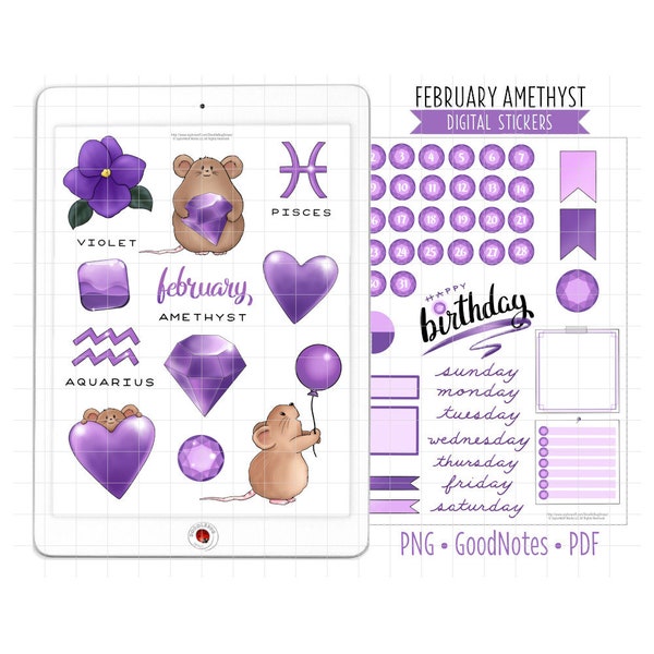 February Birthstone Digital Planner Stickers, Purple Amethyst Monthly Kit, GoodNotes Stickers, PNG, Printable PDF, Birthday Journal Stickers