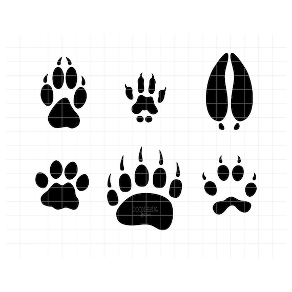 Download Animal Footprints SVG Clipart Woodland Animal Tracks | Etsy