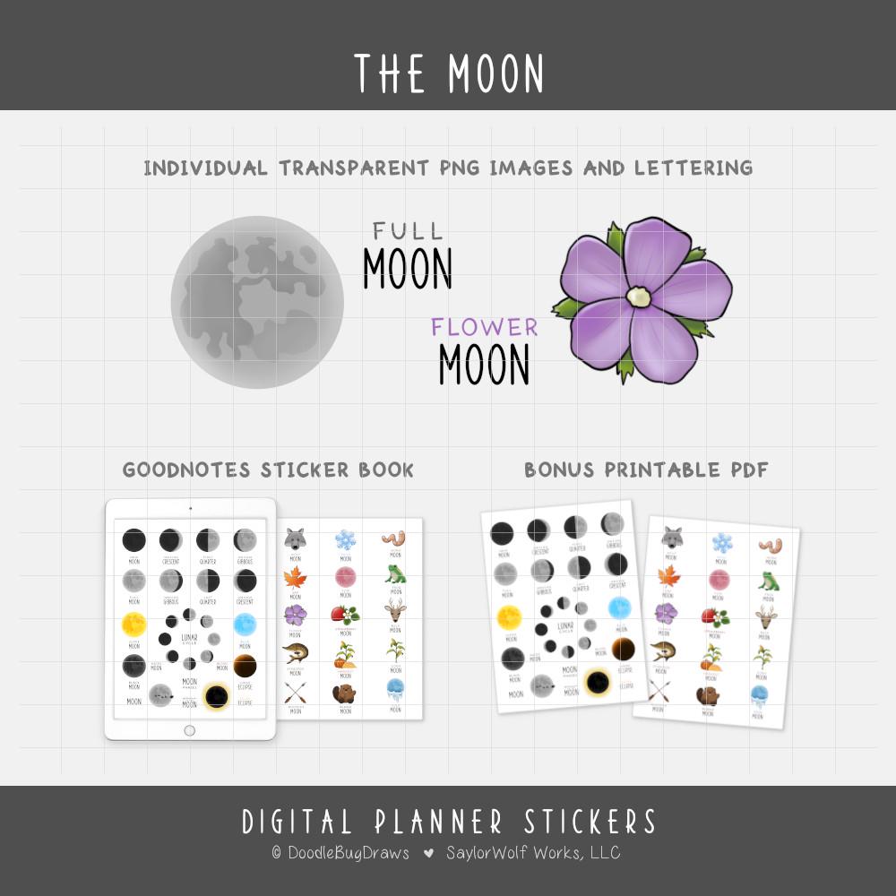 Moon Phases & Full Moon Names Digital Planner Stickers - Lunar Cycle ...
