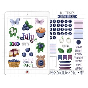 Adesivi per planner digitale Blueberries, kit mensile di luglio, adesivi GoodNotes, PNG pretagliati, PDF stampabili, adesivi per diario Summer Berry