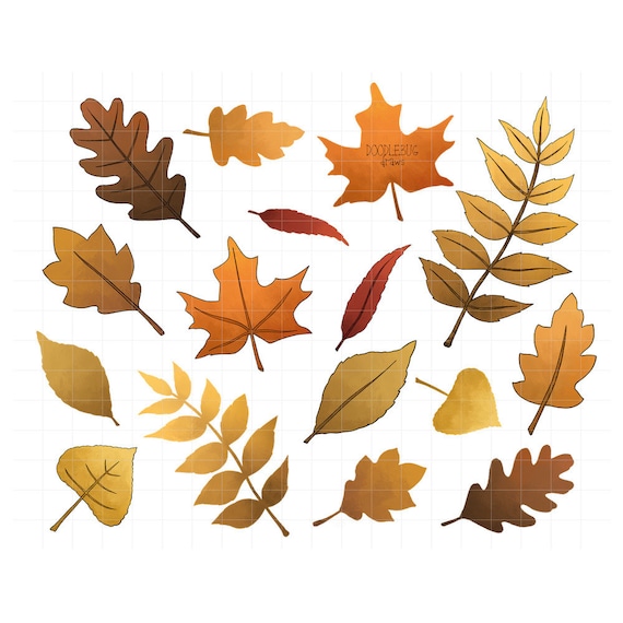 fall leaves digital planner stickers autumn leaf clipart etsy