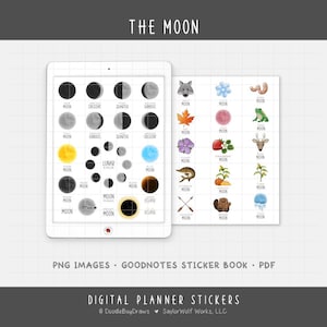 Moon Phases & Full Moon Names Digital Planner Stickers - Lunar Cycle Icons (PNG, GoodNotes, PDF)