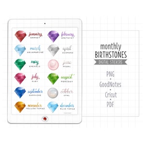 Geboortestenen en maandnamen Digitale plannerstickers, GoodNotes-stickers, voorgesneden png-bestand, afdrukbare pdf, maandelijkse stickers verjaardagsdagboek