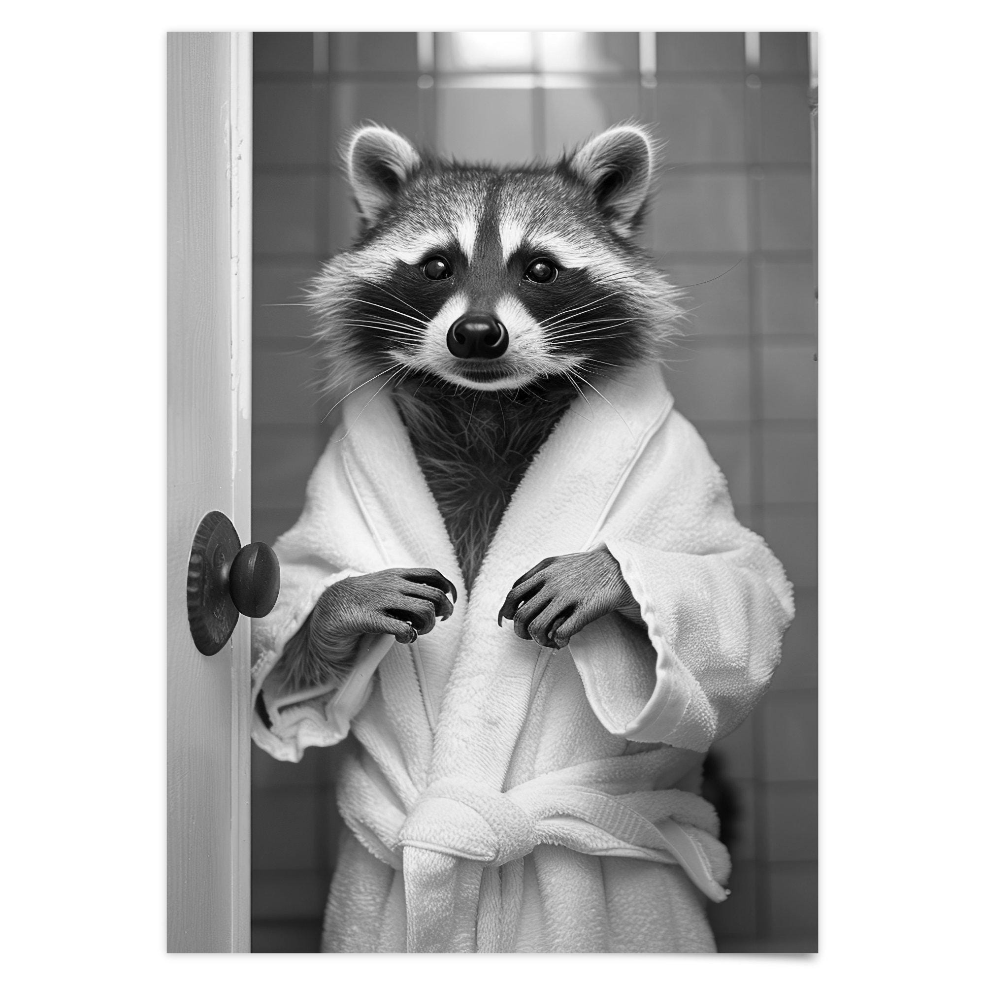 4-tlg. Waschbär Wandbilder Set - Lustige Tier Deko Ohne Rahmen