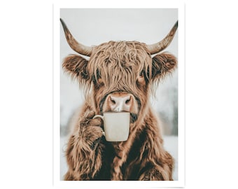 May include: A brown and white Highland cow with long, shaggy hair is holding a white ceramic mug to its mouth. The cow is looking directly at the camera.