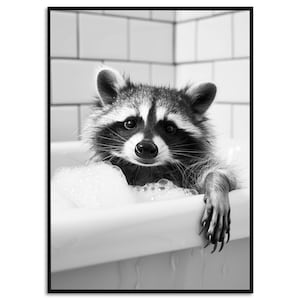 Stampa per bagno Procione nella vasca da bagno Poster Decorazione per bagno per ospiti Regalo Acquisto casa Immagine divertente