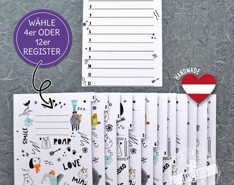 Dividers for A4 folders, index sheets for kindergarten school folders, index sets of 4 or 12, doodle, scribble printed on one side