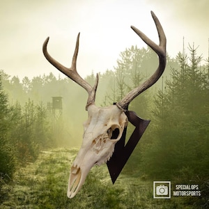 May include: A white deer skull with antlers mounted on a dark brown triangular wooden plaque. The skull is set against a backdrop of a foggy forest with trees and a wooden hunting stand.