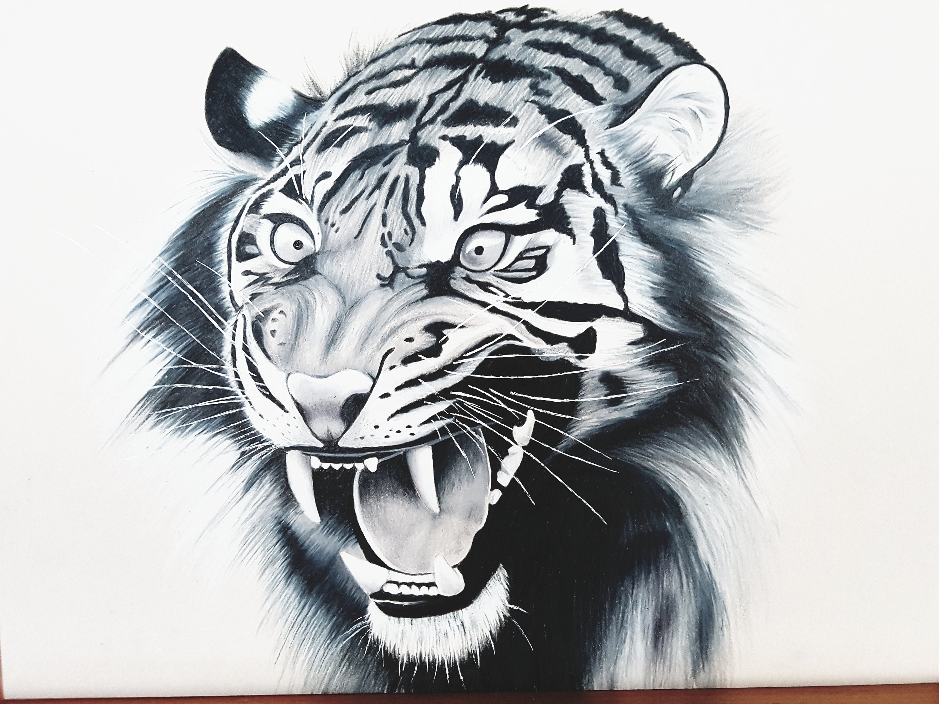 how to draw a tiger roaring