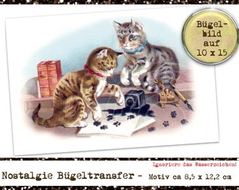 Spielende Katzen Bügel Bild Transfer